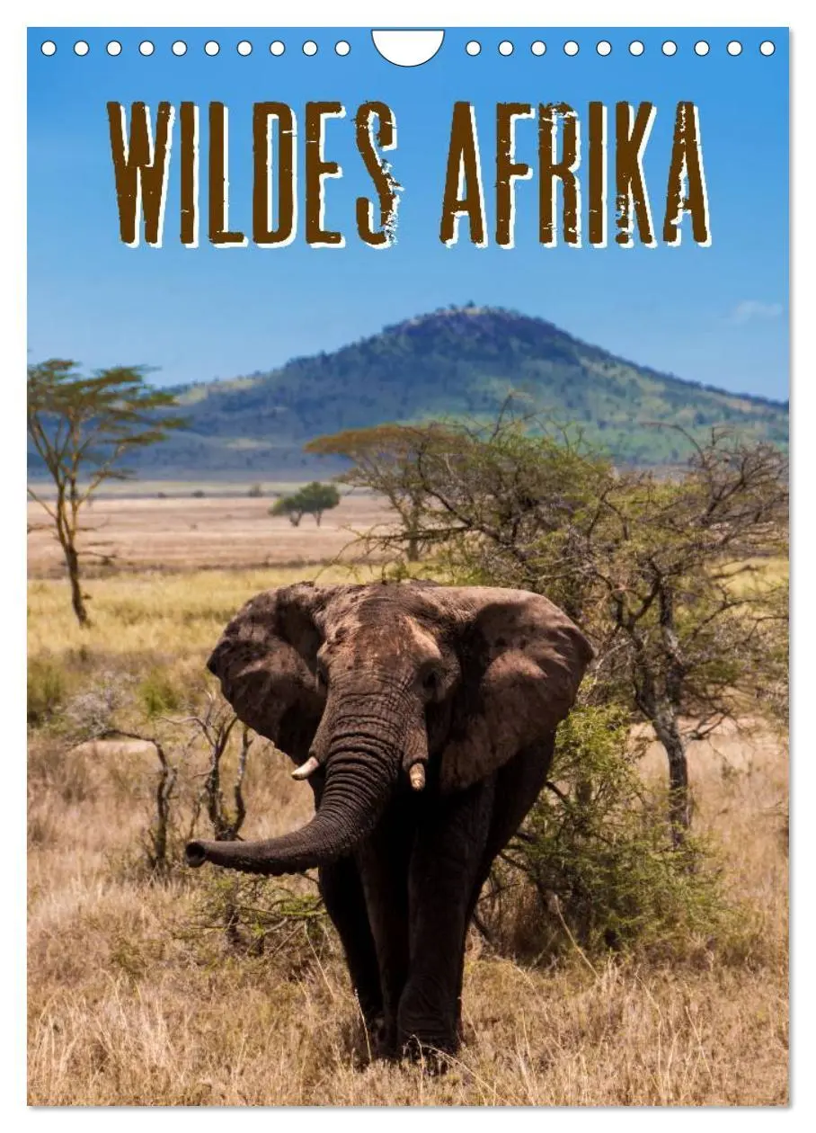 Cover: 9783516472745 | Wildes Afrika (Wandkalender 2026 DIN A4 hoch), CALVENDO Monatskalender
